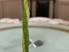 -城南往事(滨江世茂店)