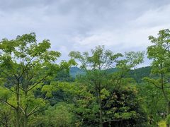 -三岔湖景区