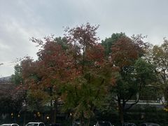 -天目湖御水温泉·度假酒店