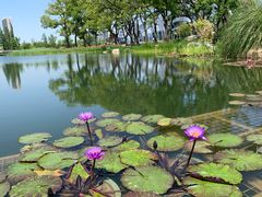 -上海植物园-4号门售票处