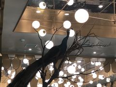 大堂-雀蓝川菜(奥体广场店)