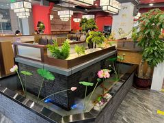 -洞庭家宴·头牌甲鱼(广渠门店)