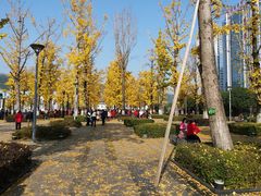 -两江幸福广场