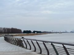 -瀛洲公园