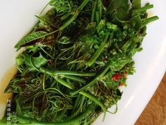 南瓜芽-马仕玖煲·融合菜·酥不腻烤鸭(人大店)