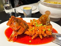 -RIVIERA 松鹤楼(外滩店)