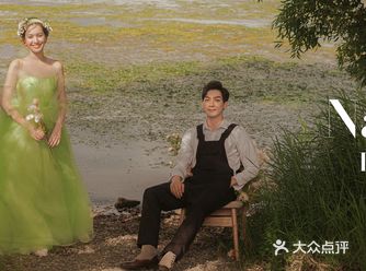 天鹅飞去鸟不归，怀念昔日空费心，云开月下双匕影