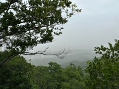 -紫金山山顶公园