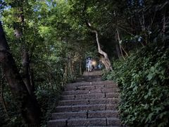 -头陀岭景区