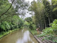 -同里国家湿地公园