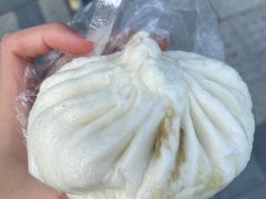 -和善园手工大包子(常德路店)