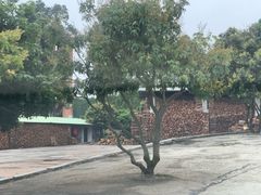 荔枝木-满記土窑烧鷄波浪山莊