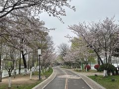 -尚湖风景区