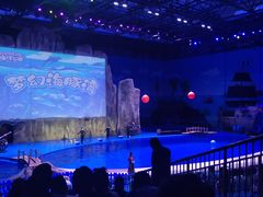 -华夏文旅海洋公园