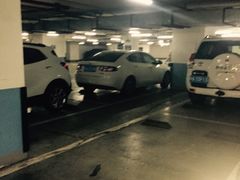 -中山公园-龙之梦停车场