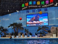 -泉城欧乐堡海洋极地世界