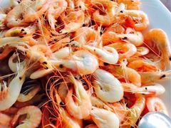 iphone_upload_pic-湿地轩