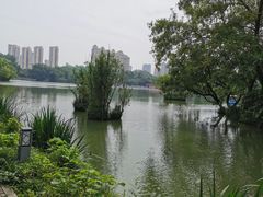 -青枫公园