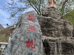-大岭沟猕猴桃谷风景区