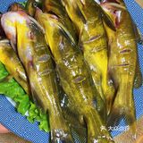 我看看，在高新他家的铜锅涮肉谁还没吃过⁉️