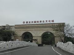 -罗浮山嘉宝田森林温泉度假酒店