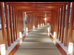-重庆南山海昌汤都