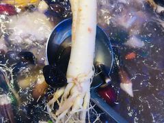 -千岛蚝高压锅生蚝·人参火锅(白云万达店)