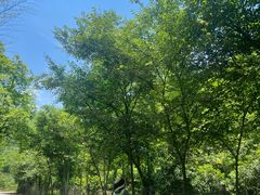 -雅达·阳羡溪山小镇中心