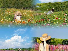 -汉长安城未央宫国家考古遗址公园