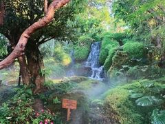 -Chom Cafe and Restaurant