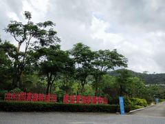 -中山市树木园