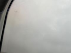 -全日本空输株式会社(上海办事处)