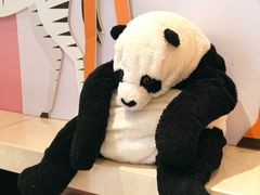 -深圳星河丽思卡尔顿酒店