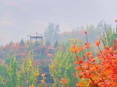 -周口店坡峰岭风景区