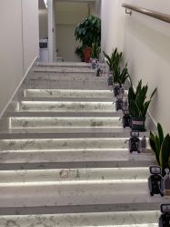 -海涛医疗美容·面部抗衰·注射美鼻