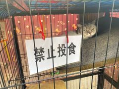 -艺味深尝(云锦路店)
