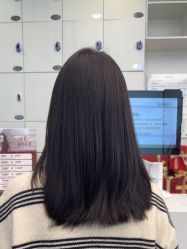 -YESIDO椰岛造型