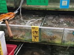 -拉威海鲜市场