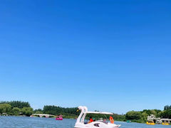 -大兴滨河森林公园