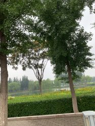 -HEYAN长风荷妍专业脱毛美肤
