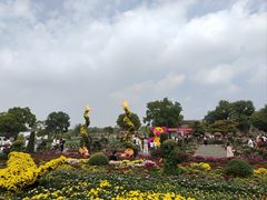 -嬉乐湾休闲旅游区