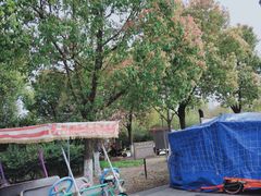 -如皋市龙游湖欢乐世界