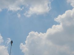 -华威达牛庄(黄埔大道西店)