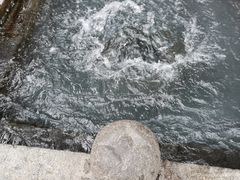 -百脉泉景区