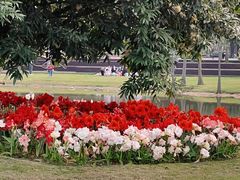 -深圳国际园林花卉博览园