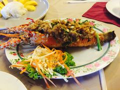 -Red Lobster