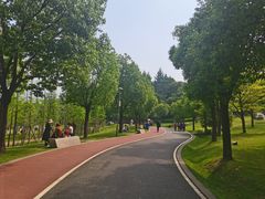-牛岗山公园
