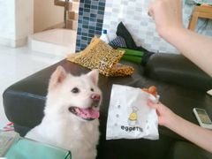 android_upload_pic-eggette(顺德印象城店)