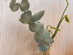 -尤加利咖啡馆