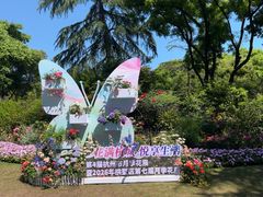 -大关公园